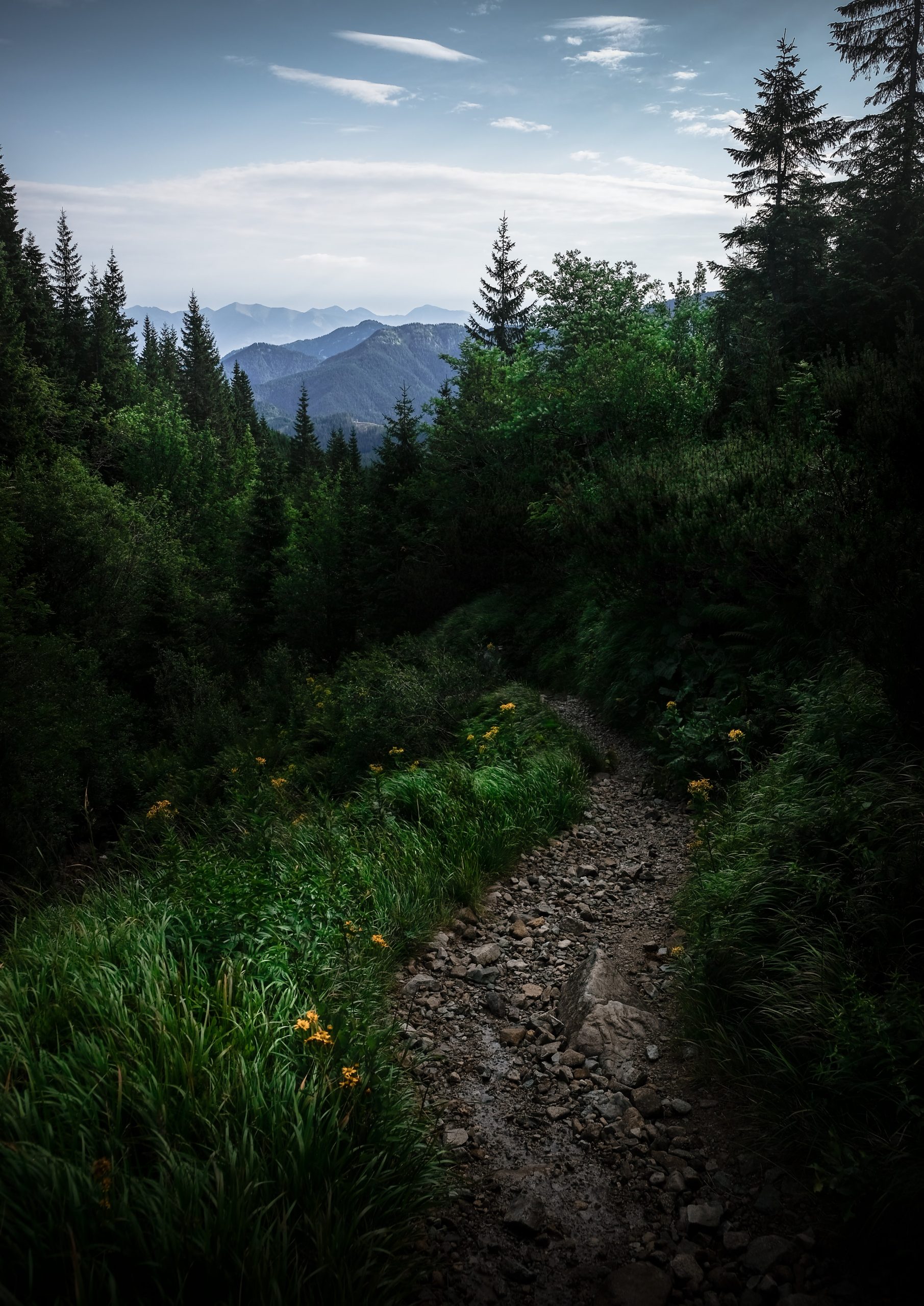 Slovakia Summer Print